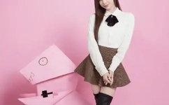 鲍勃大盗中文版